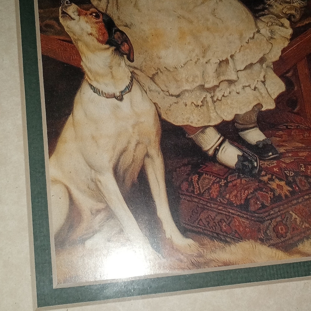 Picture - Picture 3 of 4
